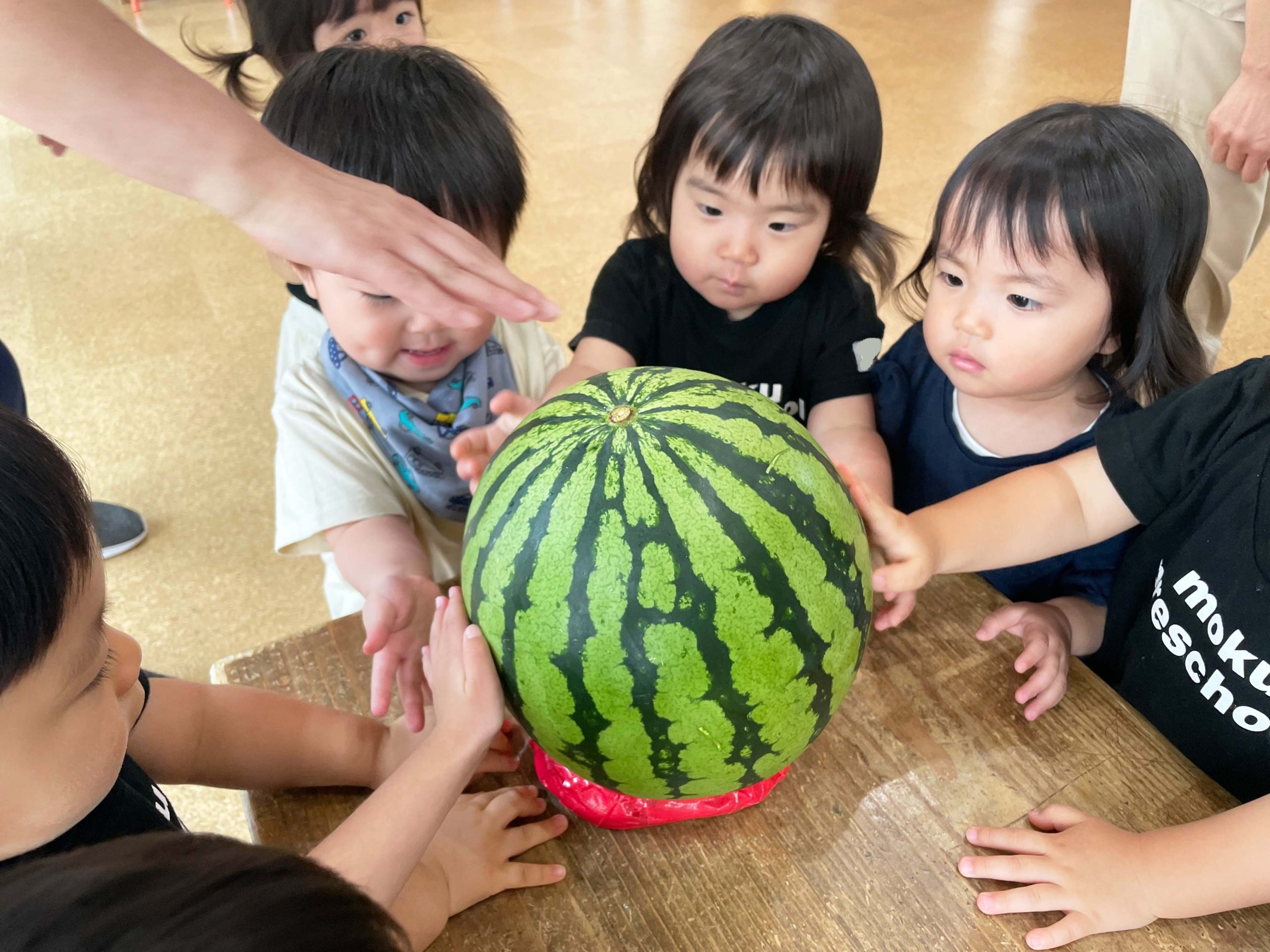 丸スイカ 三角スイカ Moku