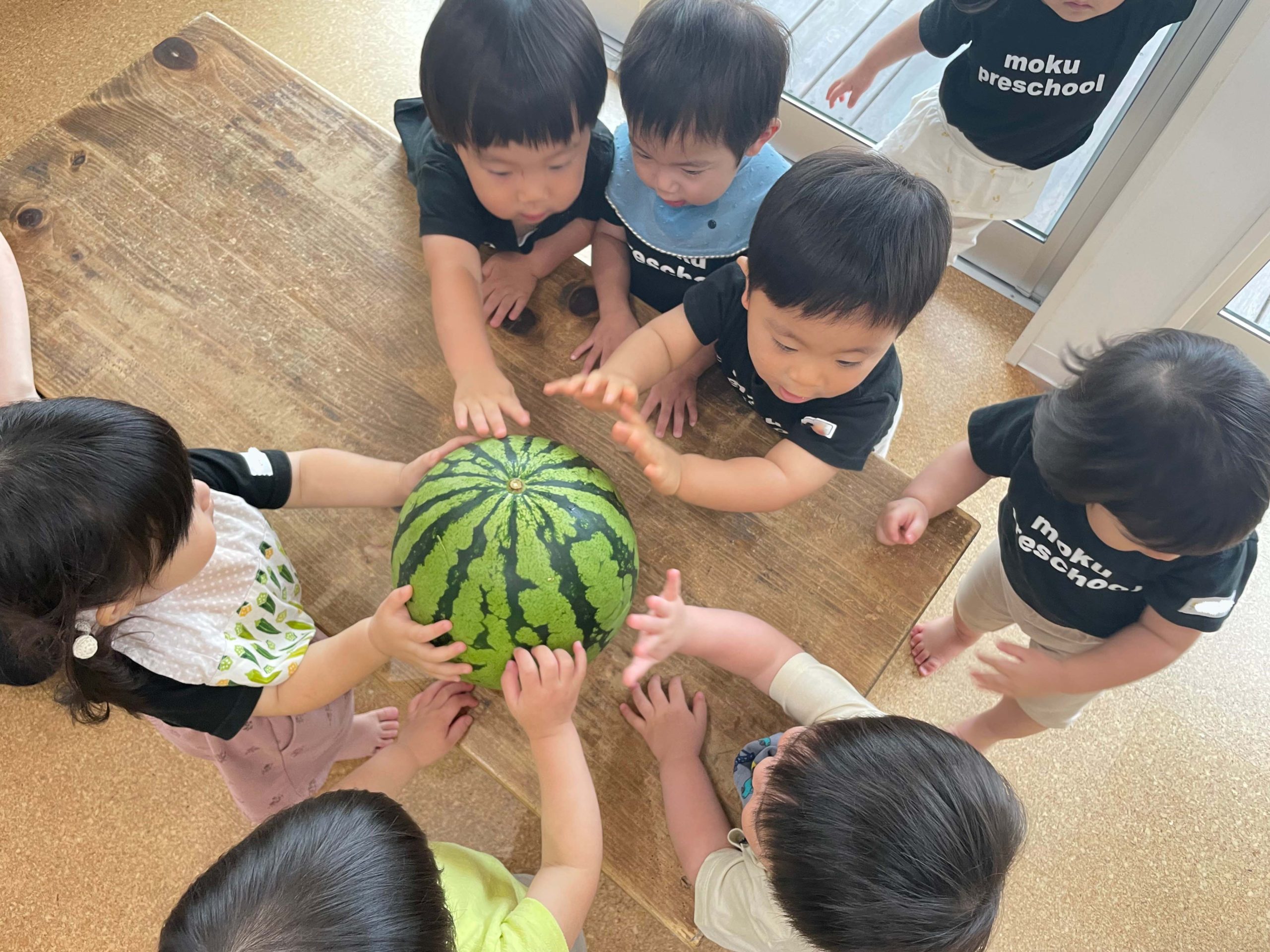 丸スイカ 三角スイカ Moku