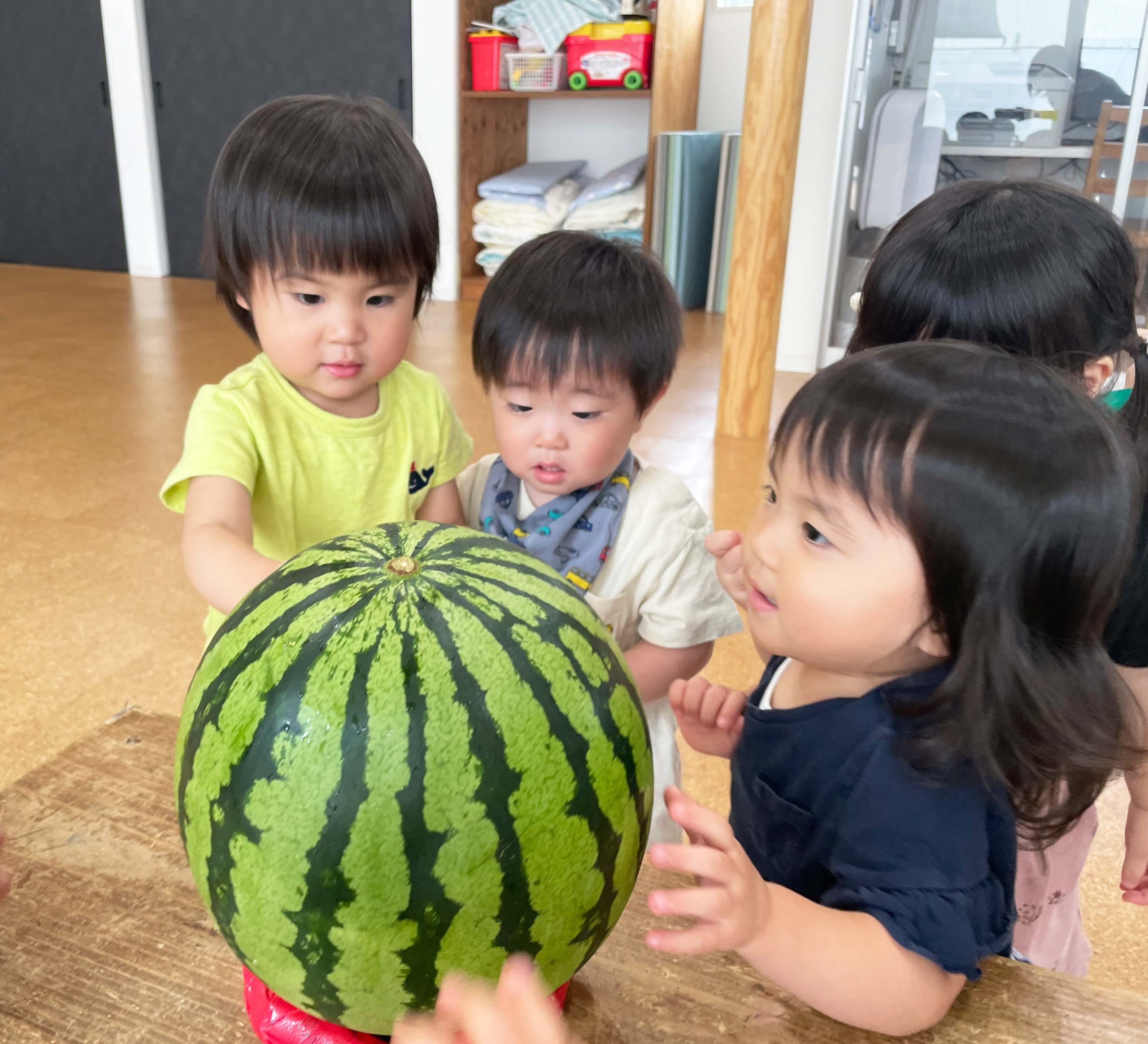 丸スイカ 三角スイカ Moku